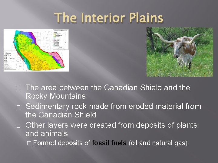 The Interior Plains � � � The area between the Canadian Shield and the