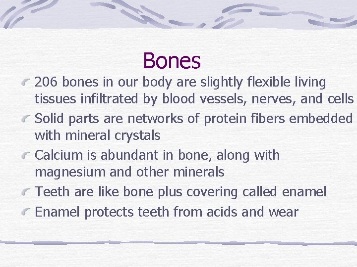 Bones 206 bones in our body are slightly flexible living tissues infiltrated by blood