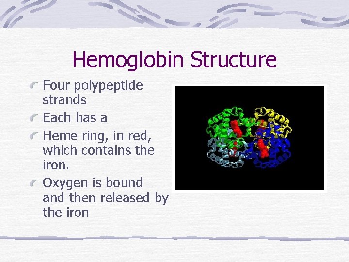 Hemoglobin Structure Four polypeptide strands Each has a Heme ring, in red, which contains