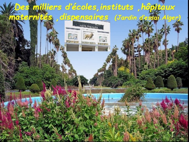 Des milliers d’écoles, instituts , hôpitaux maternités , dispensaires (Jardin d’essai. Alger) 