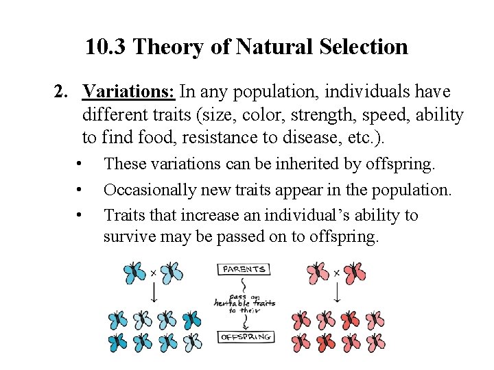 10. 3 Theory of Natural Selection 2. Variations: In any population, individuals have different