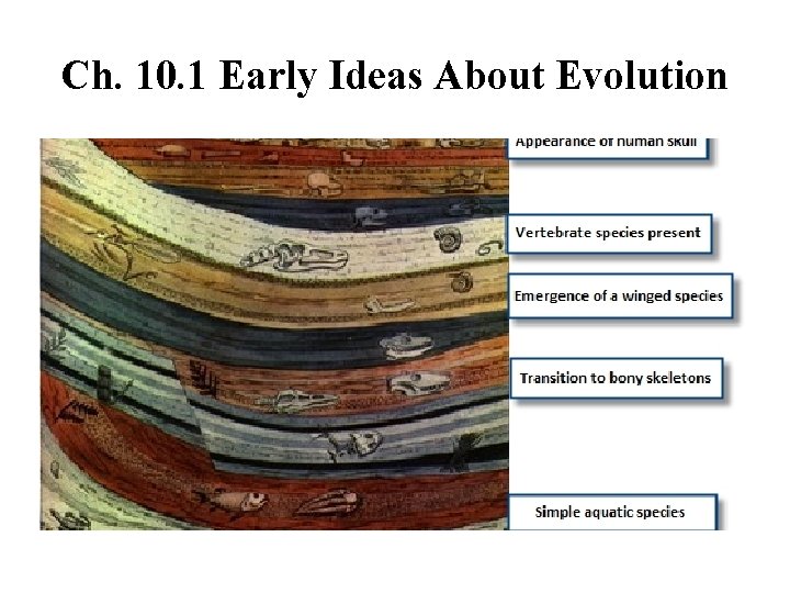 Ch. 10. 1 Early Ideas About Evolution 