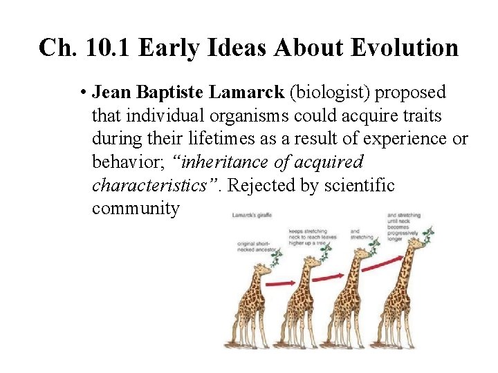 Ch. 10. 1 Early Ideas About Evolution • Jean Baptiste Lamarck (biologist) proposed that