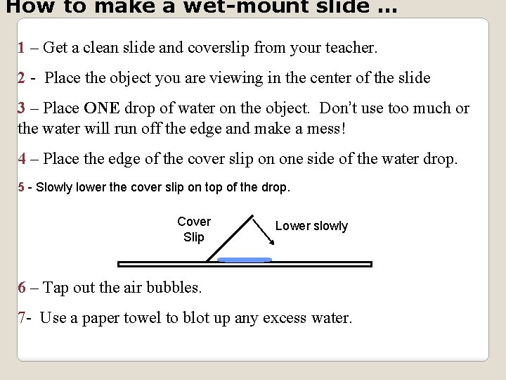 How to make a wet-mount slide … 1 – Get a clean slide and