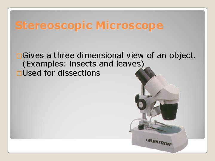 Stereoscopic Microscope �Gives a three dimensional view of an object. (Examples: insects and leaves)