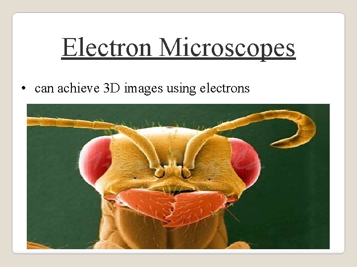 Electron Microscopes • can achieve 3 D images using electrons 