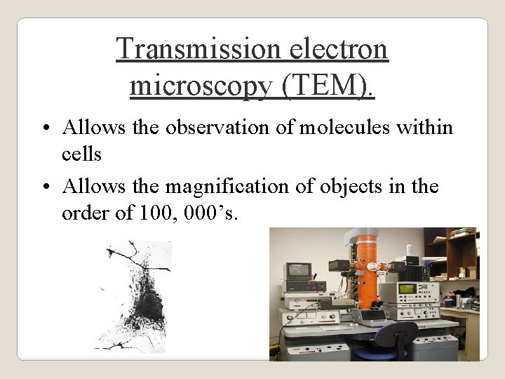 Transmission electron microscopy (TEM). • Allows the observation of molecules within cells • Allows