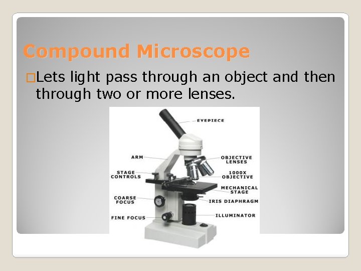 Compound Microscope �Lets light pass through an object and then through two or more