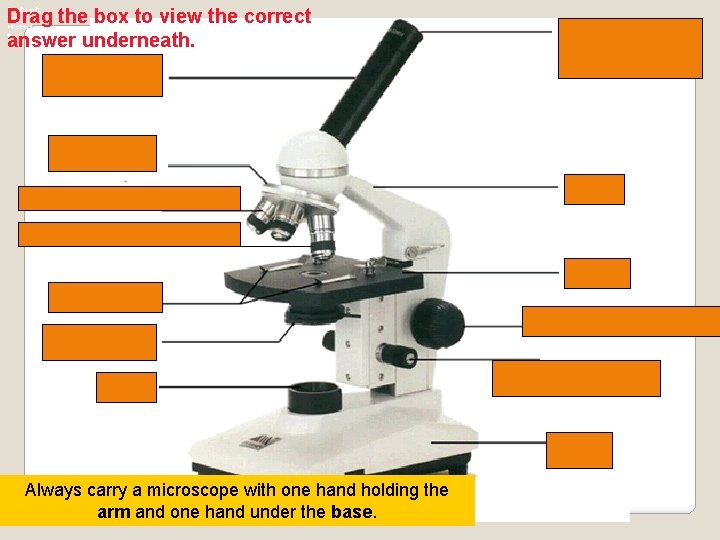 Parts of the Microscop e Drag the box to view the correct answer underneath.