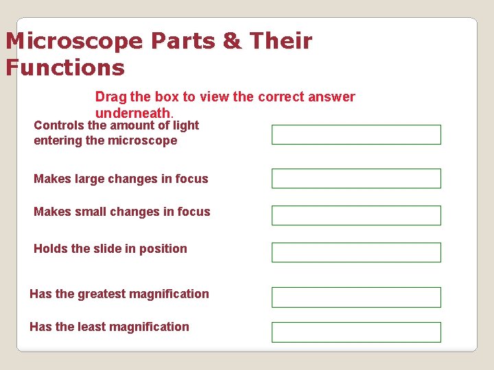 Microscope Parts & Their Functions Drag the box to view the correct answer underneath.