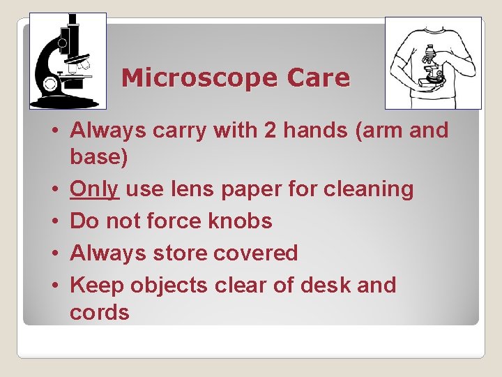 Microscope Care • Always carry with 2 hands (arm and base) • Only use