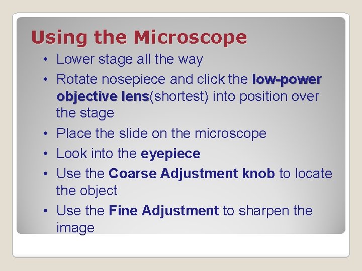 Using the Microscope • Lower stage all the way • Rotate nosepiece and click