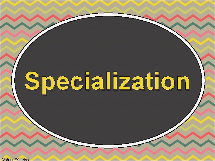 Specialization © Brain Wrinkles 