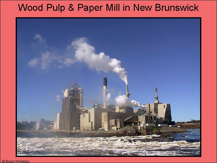 Wood Pulp & Paper Mill in New Brunswick © Brain Wrinkles 