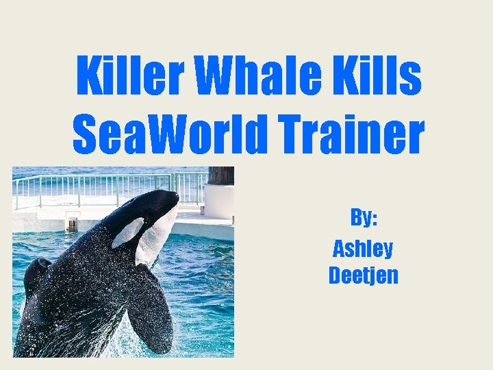 Killer Whale Kills Sea. World Trainer By: Ashley Deetjen 