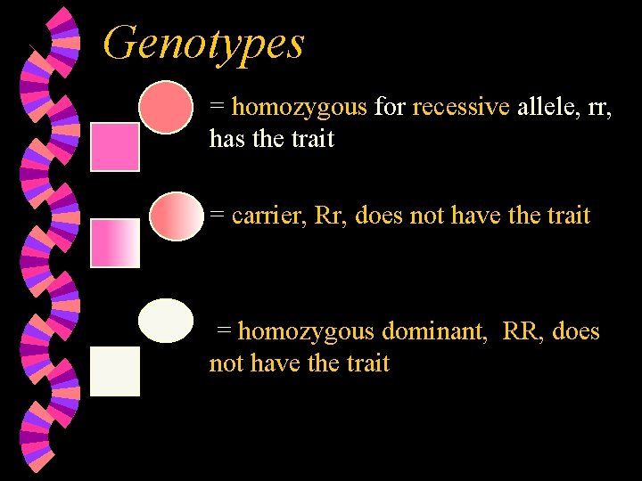 Genotypes = homozygous for recessive allele, rr, has the trait = carrier, Rr, does Genotypes = homozygous for recessive allele, rr, has the trait = carrier, Rr, does