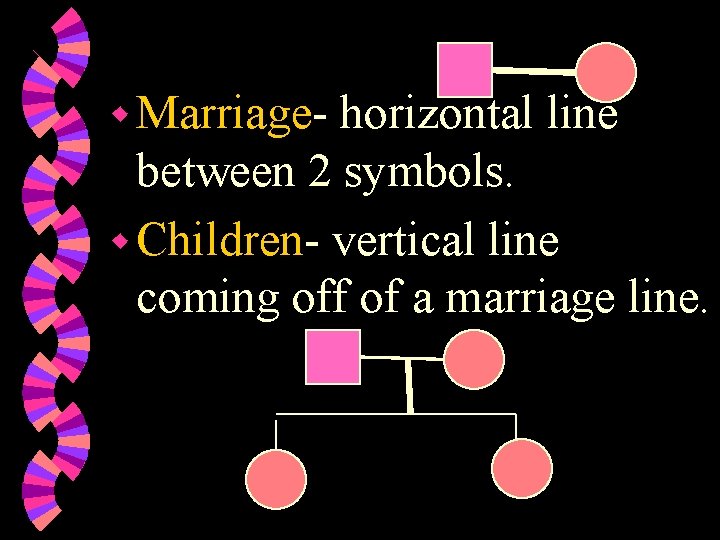 w Marriage- horizontal line between 2 symbols. w Children- vertical line coming off of w Marriage- horizontal line between 2 symbols. w Children- vertical line coming off of
