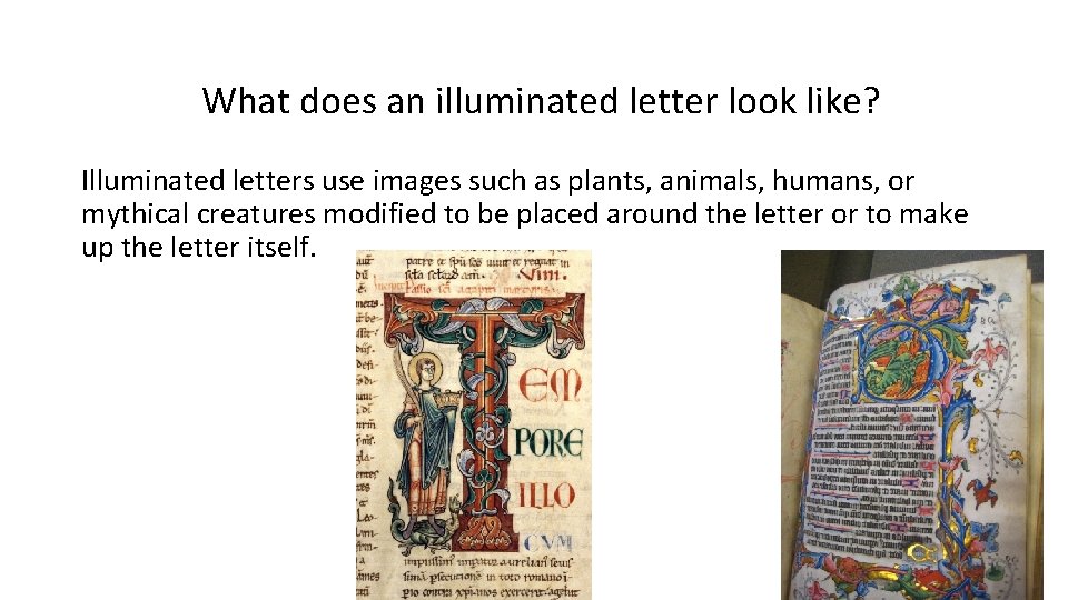 What does an illuminated letter look like? Illuminated letters use images such as plants,