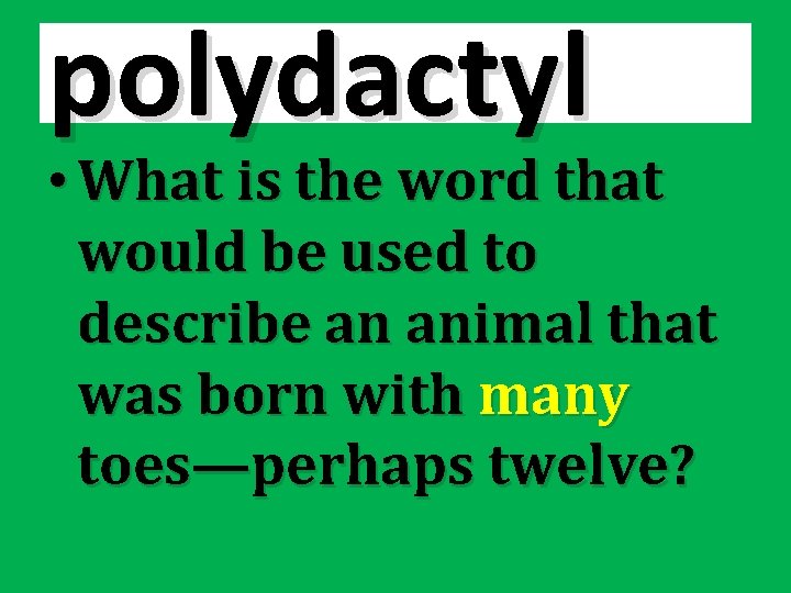 polydactyl • What is the word that would be used to describe an animal