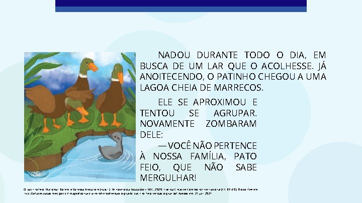 NADOU DURANTE TODO O DIA, EM BUSCA DE UM LAR QUE O ACOLHESSE. JÁ