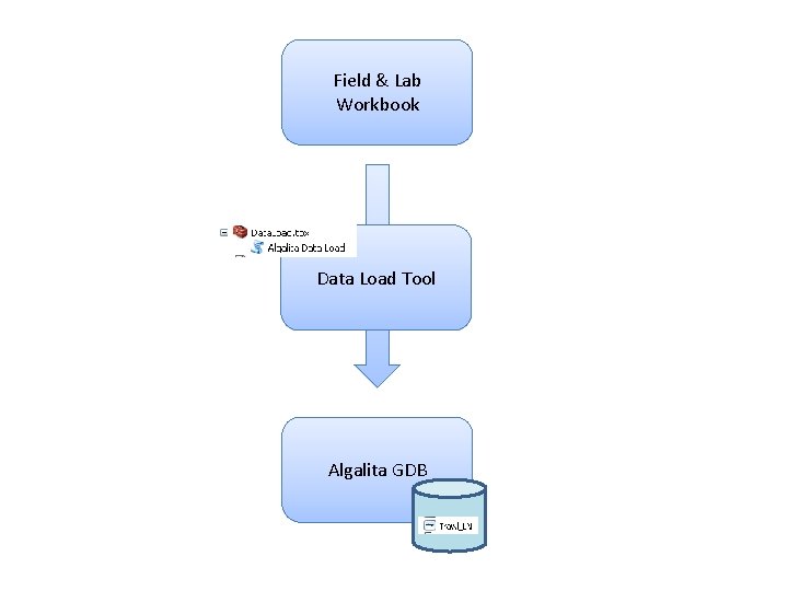 Field & Lab Workbook Data Load Tool Algalita GDB 