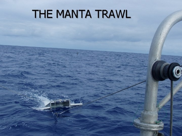 THE MANTA TRAWL 