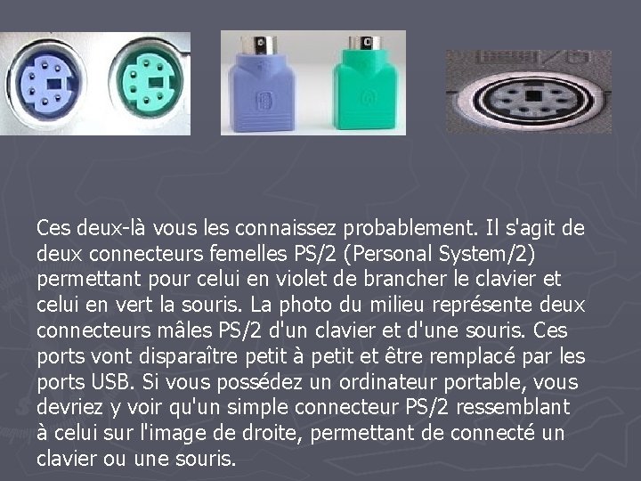 Ces deux-là vous les connaissez probablement. Il s'agit de deux connecteurs femelles PS/2 (Personal