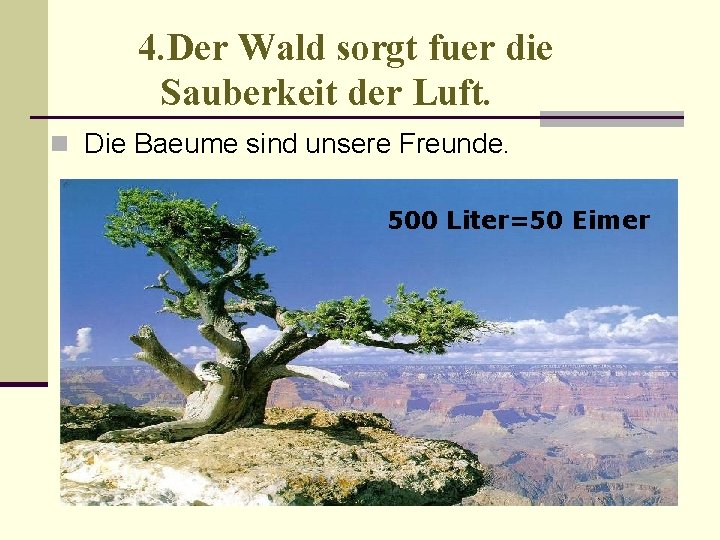 4. Der Wald sorgt fuer die Sauberkeit der Luft. n Die Baeume sind unsere