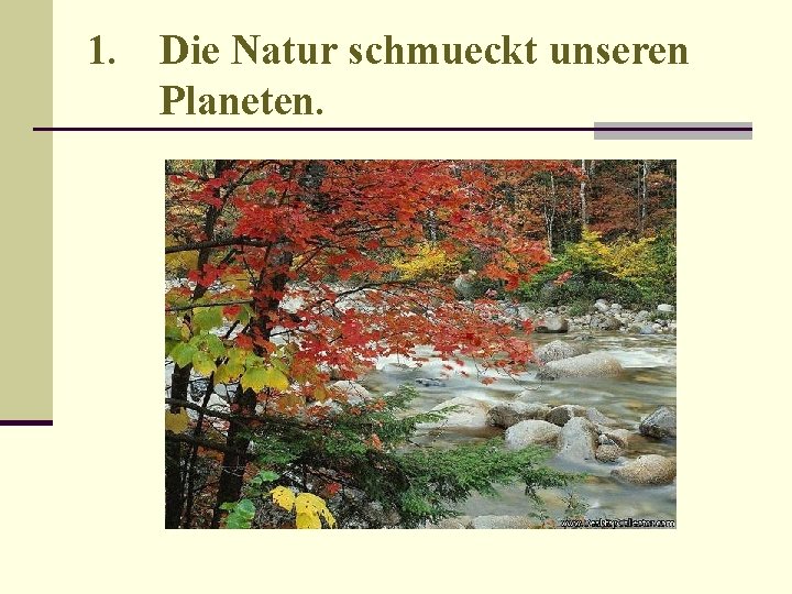 1. Die Natur schmueckt unseren Planeten. 