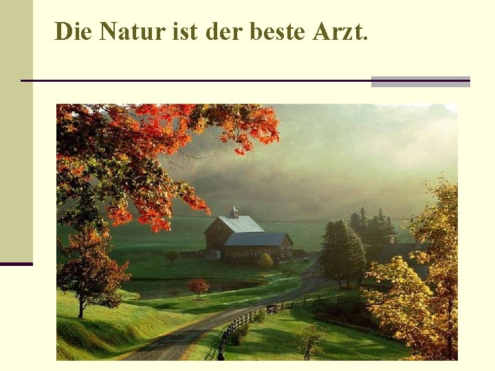 Die Natur ist der beste Arzt. 