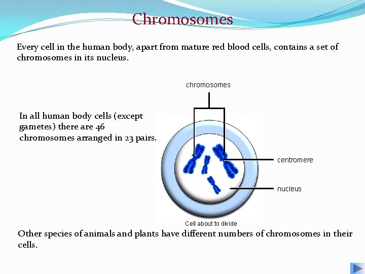 Chromosomes Every cell in the human body, apart from mature red blood cells, contains