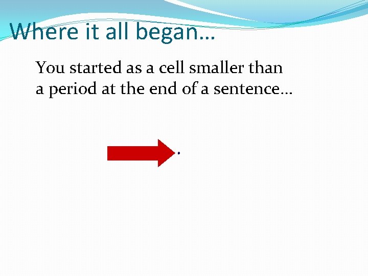 Where it all began… You started as a cell smaller than a period at