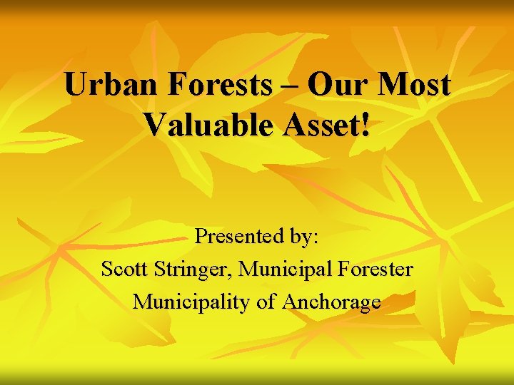Urban Forests – Our Most Valuable Asset! Presented by: Scott Stringer, Municipal Forester Municipality