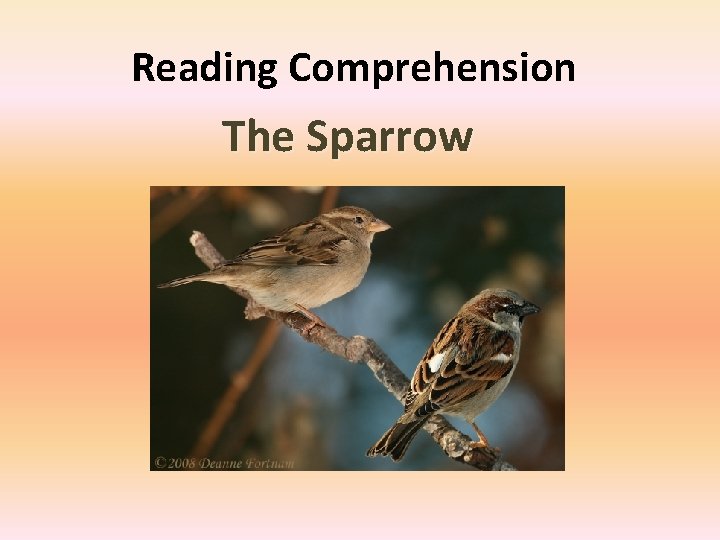 Reading Comprehension The Sparrow 