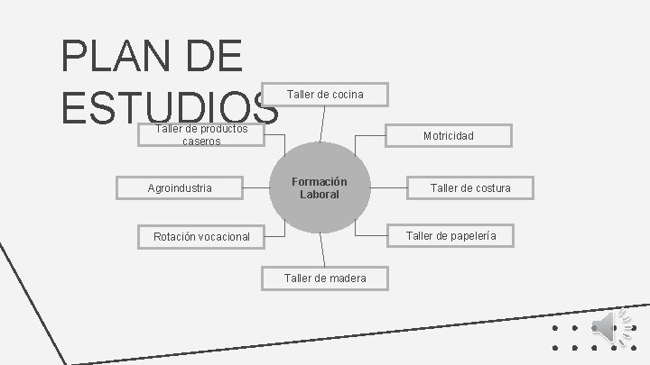 PLAN DE ESTUDIOS Taller de cocina Taller de productos caseros Agroindustria Motricidad Formación Laboral