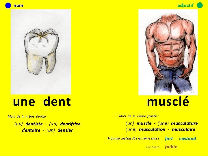 nom une dent Mots de la même famille : (un) dentiste - (un) dentifrice