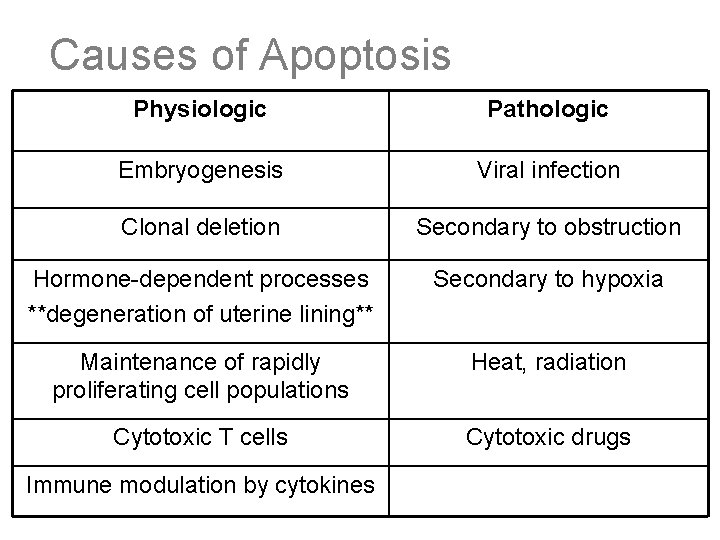 Causes of Apoptosis Physiologic Pathologic Embryogenesis Viral infection Clonal deletion Secondary to obstruction Hormone-dependent