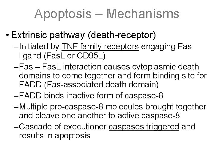 Apoptosis – Mechanisms • Extrinsic pathway (death-receptor) – Initiated by TNF family receptors engaging