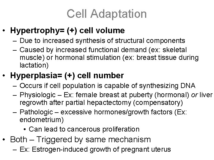 Cell Adaptation • Hypertrophy= (+) cell volume – Due to increased synthesis of structural