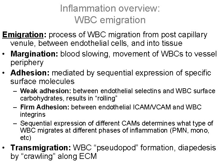 Inflammation overview: WBC emigration Emigration: process of WBC migration from post capillary venule, between