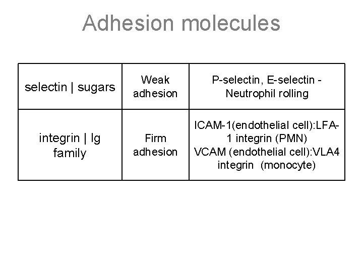 Adhesion molecules selectin | sugars integrin | Ig family Weak adhesion P-selectin, E-selectin Neutrophil