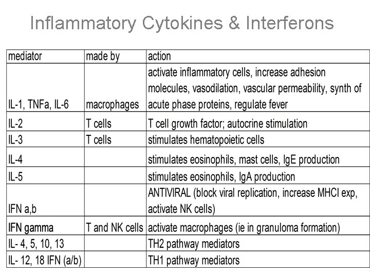 Inflammatory Cytokines & Interferons 