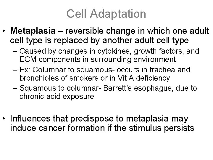 Cell Adaptation • Metaplasia – reversible change in which one adult cell type is