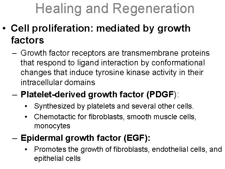 Healing and Regeneration • Cell proliferation: mediated by growth factors – Growth factor receptors