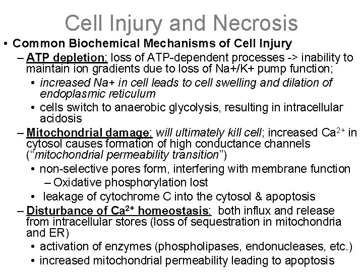 Cell Injury and Necrosis • Common Biochemical Mechanisms of Cell Injury – ATP depletion: