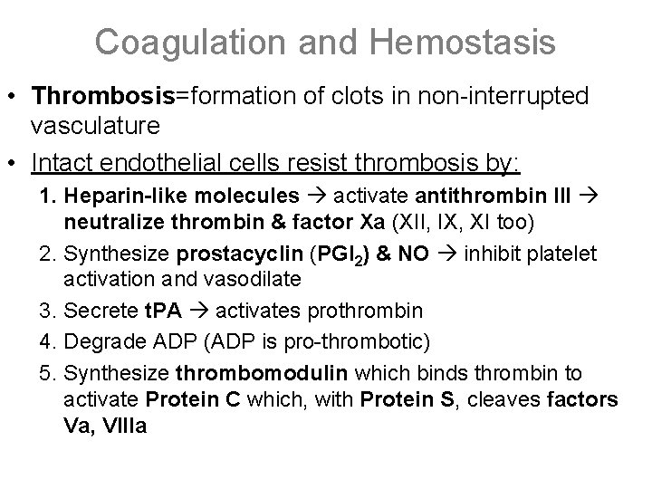 Coagulation and Hemostasis • Thrombosis=formation of clots in non-interrupted vasculature • Intact endothelial cells