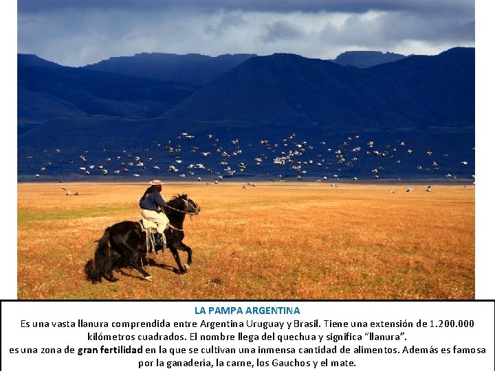 LA PAMPA ARGENTINA Es una vasta llanura comprendida entre Argentina Uruguay y Brasil. Tiene