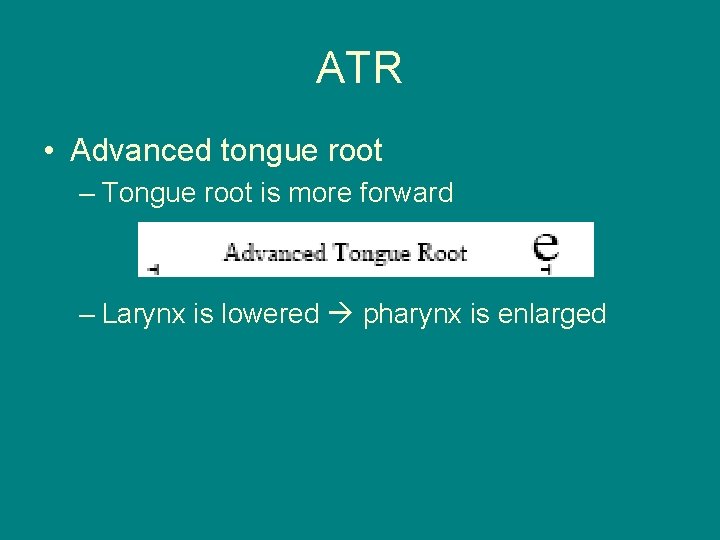 ATR • Advanced tongue root – Tongue root is more forward – Larynx is