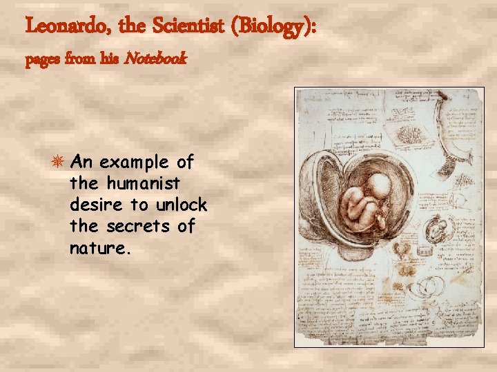 Leonardo, the Scientist (Biology): pages from his Notebook An example of the humanist desire