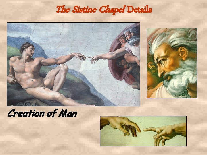 The Sistine Chapel Details Creation of Man 